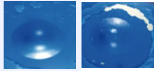 486628a2b234d4bf7fd185a543850aa0 image.png